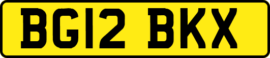 BG12BKX