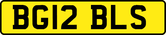 BG12BLS