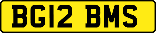 BG12BMS