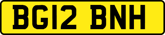 BG12BNH