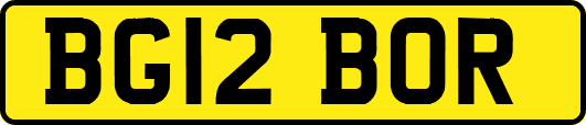 BG12BOR
