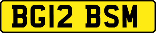 BG12BSM