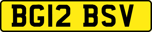 BG12BSV