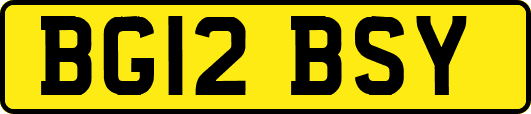 BG12BSY