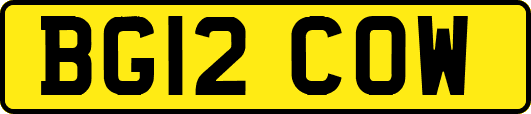 BG12COW