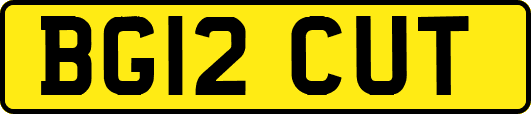 BG12CUT
