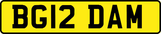 BG12DAM