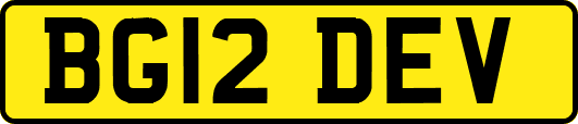 BG12DEV