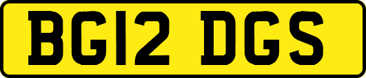 BG12DGS