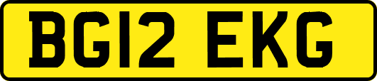 BG12EKG