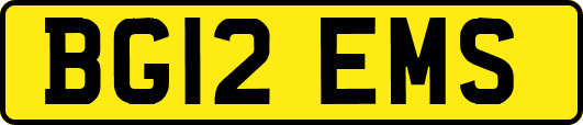 BG12EMS