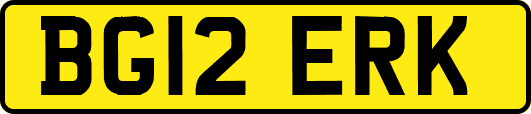 BG12ERK
