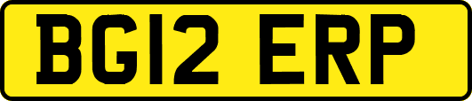 BG12ERP