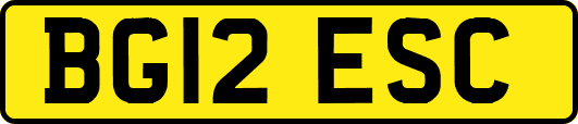 BG12ESC