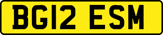 BG12ESM