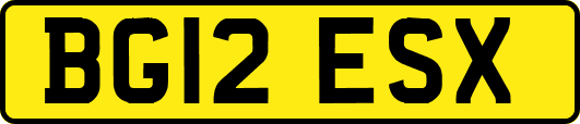 BG12ESX