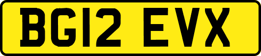 BG12EVX