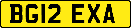 BG12EXA