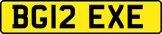 BG12EXE
