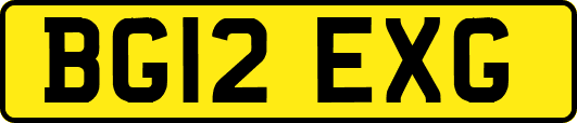 BG12EXG