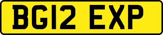 BG12EXP