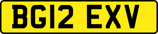 BG12EXV