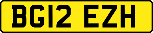 BG12EZH