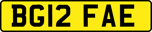 BG12FAE