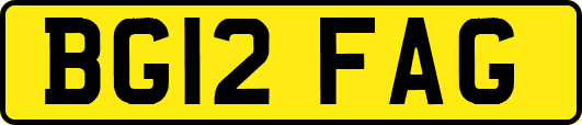 BG12FAG