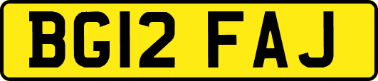 BG12FAJ