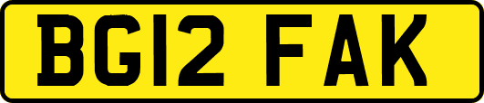 BG12FAK