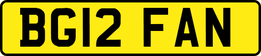 BG12FAN