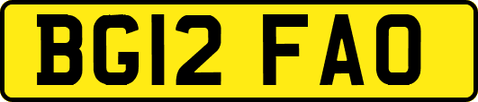 BG12FAO