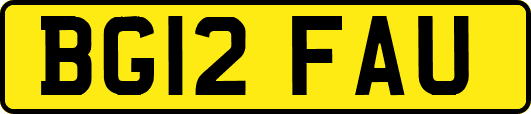 BG12FAU