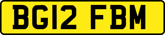 BG12FBM