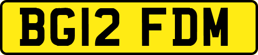 BG12FDM