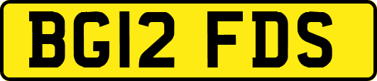 BG12FDS