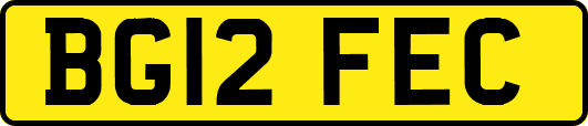 BG12FEC