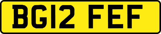 BG12FEF