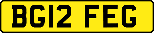 BG12FEG
