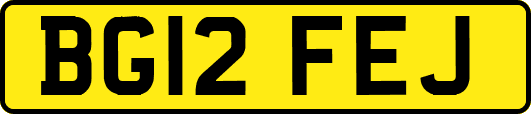 BG12FEJ