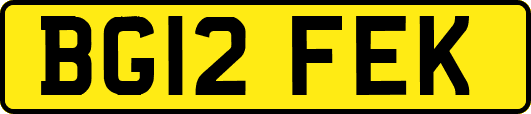 BG12FEK
