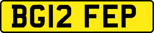 BG12FEP