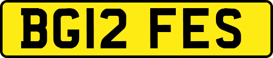 BG12FES