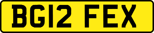 BG12FEX