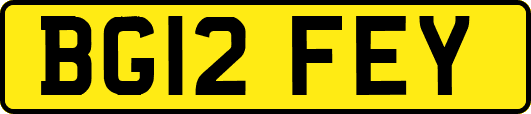 BG12FEY