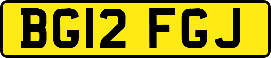 BG12FGJ