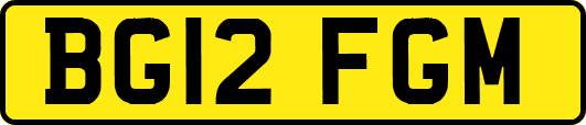 BG12FGM