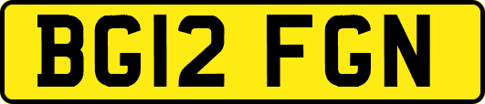 BG12FGN
