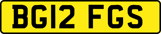 BG12FGS